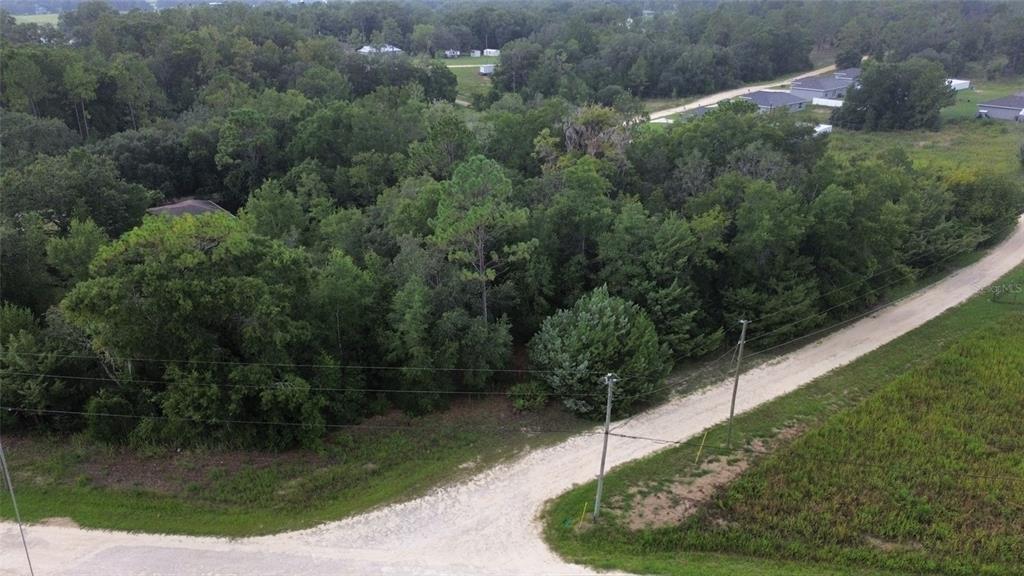 Southwest 28th Street Ocala, FL 34481 - Photo 5 of 9 a view of a back yard