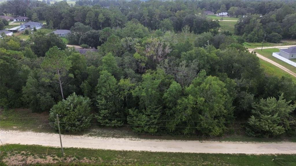 Southwest 28th Street Ocala, FL 34481 - Photo 6 of 9 a view of a yard