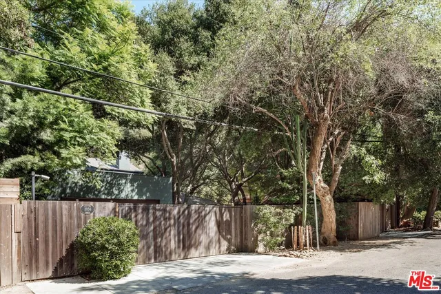 a view of a yard with plants and trees