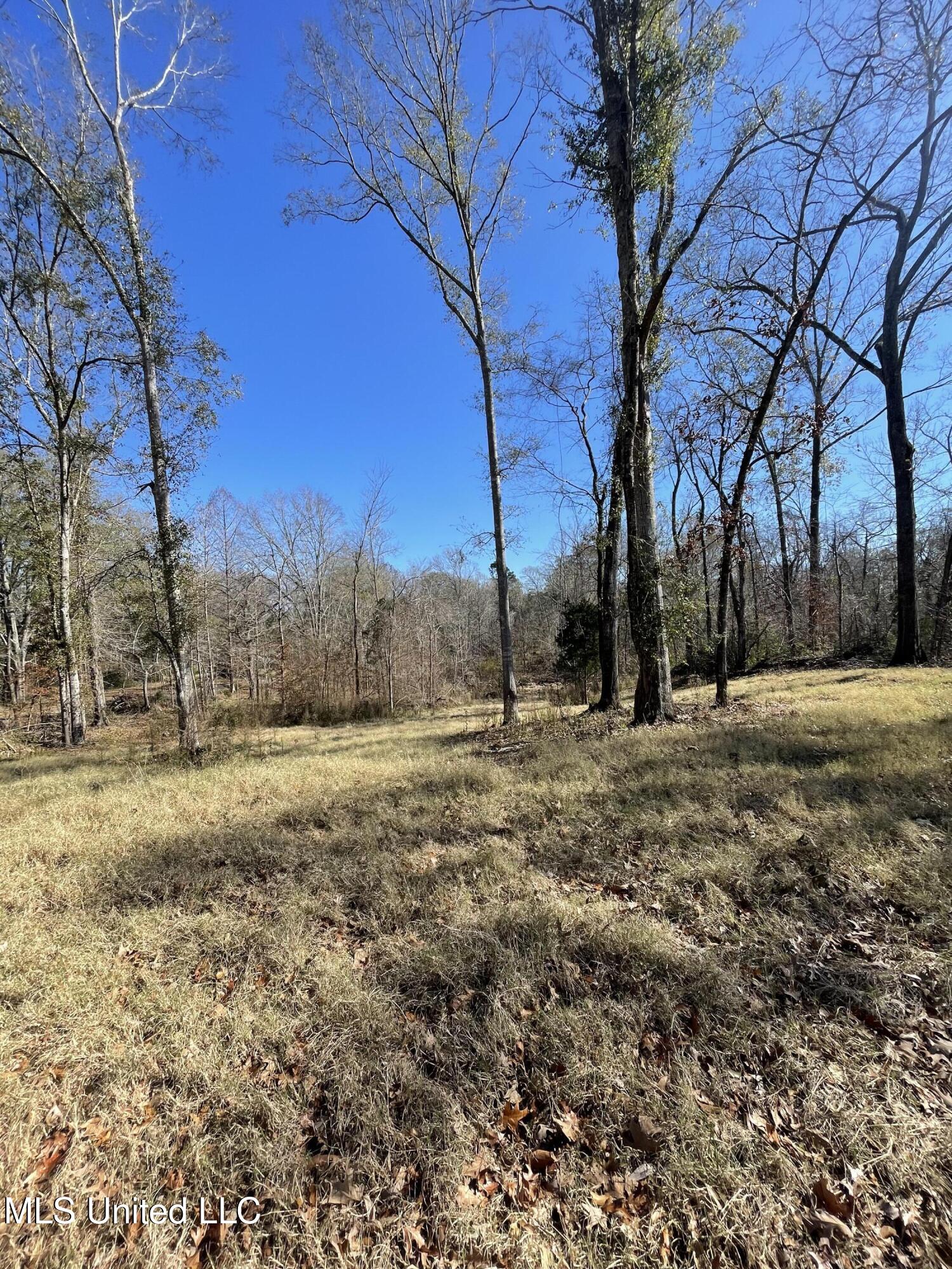 137 Robins Lake Road Natchez, MS 39120 - Photo 1 of 35 IMG_6810