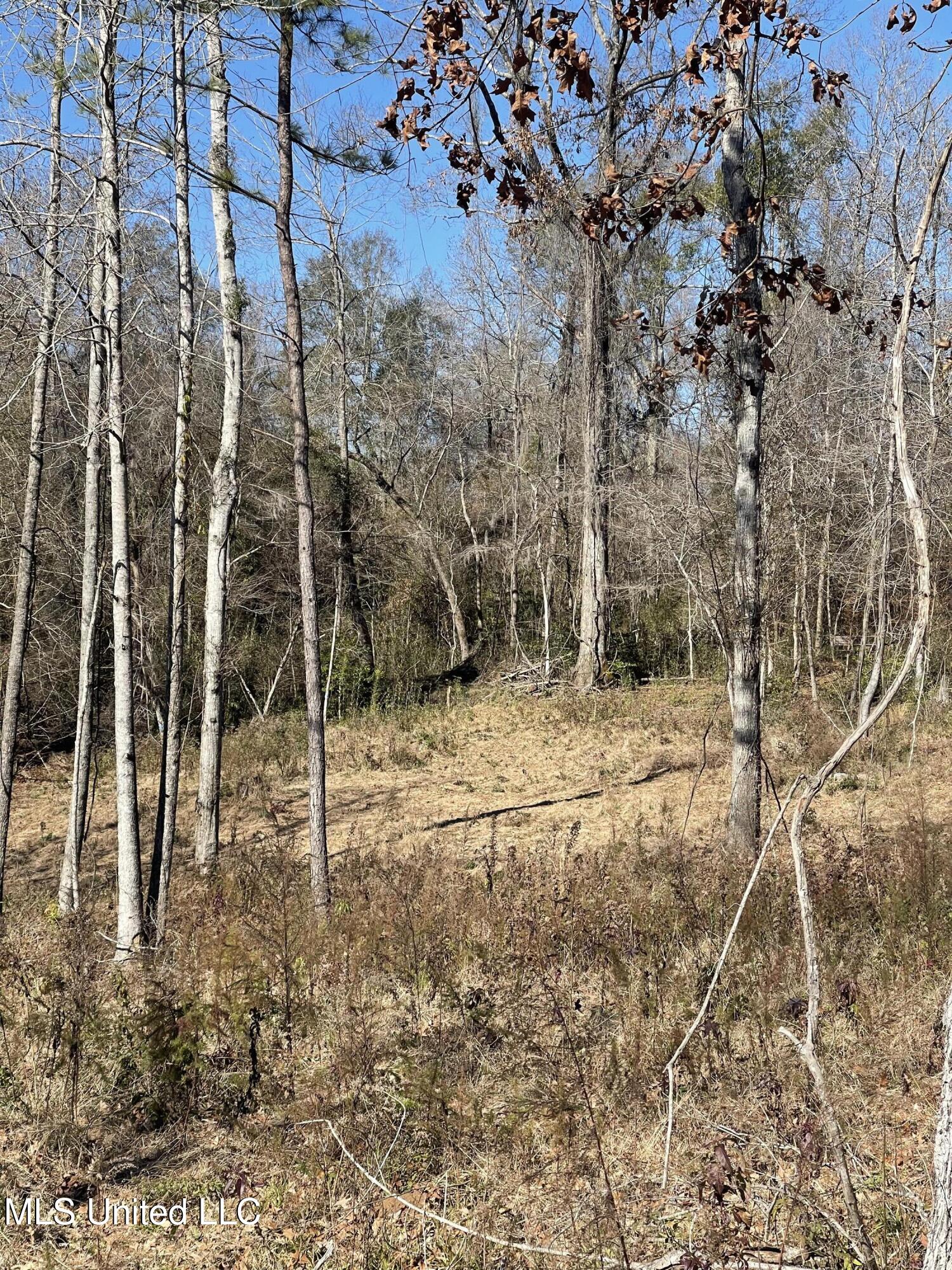 137 Robins Lake Road Natchez, MS 39120 - Photo 15 of 35 IMG_6851