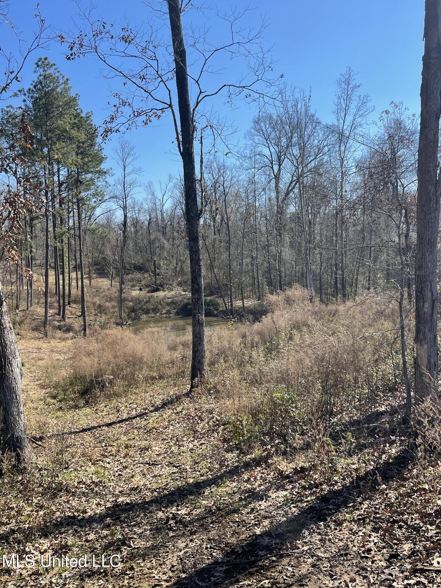 137 Robins Lake Road Natchez, MS 39120 - Photo 20 of 35 IMG_6819