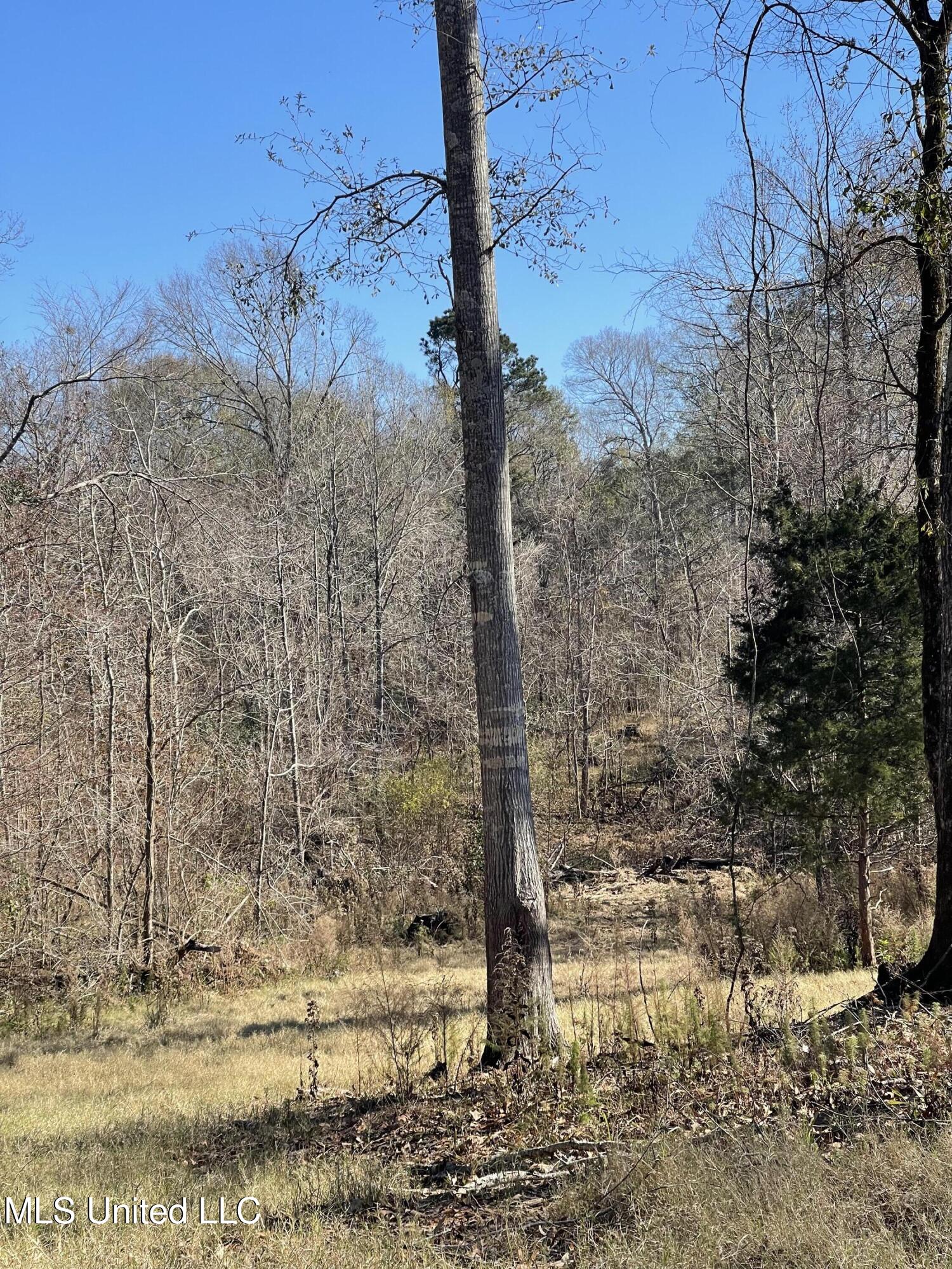 137 Robins Lake Road Natchez, MS 39120 - Photo 2 of 35 IMG_6809