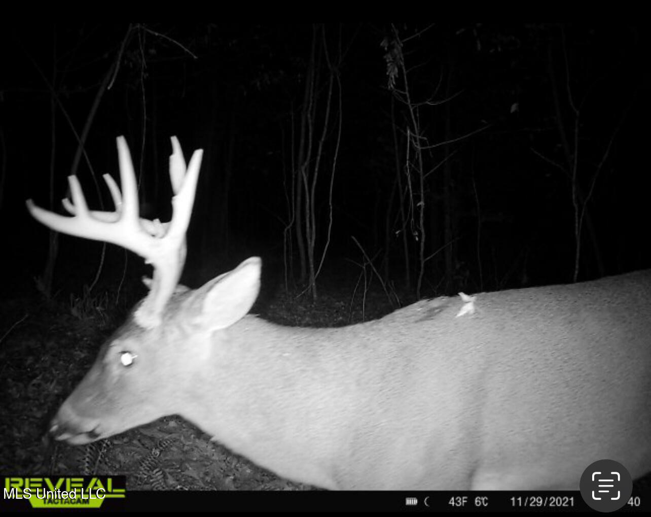 137 Robins Lake Road Natchez, MS 39120 - Photo 23 of 35 IMG_6866
