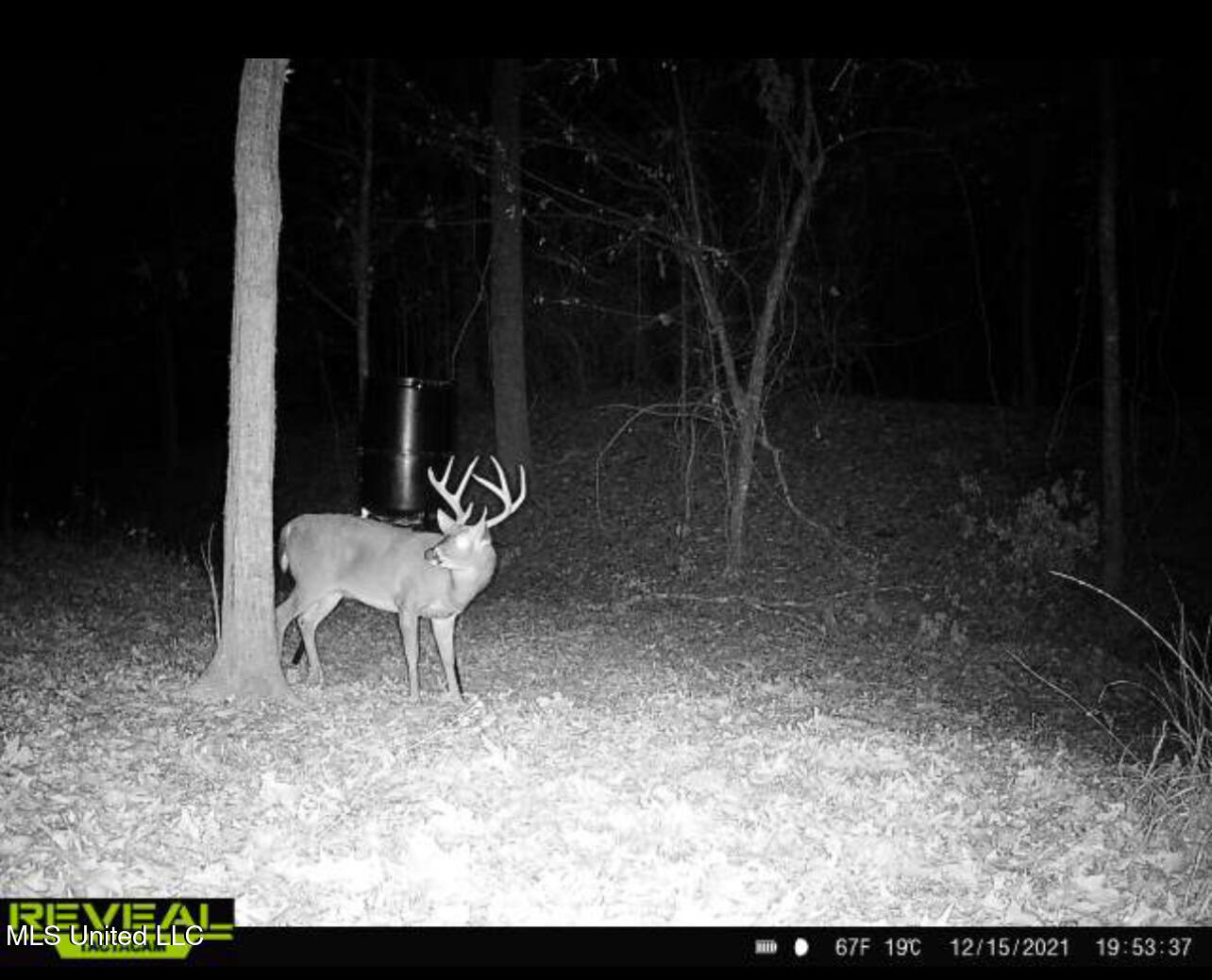 137 Robins Lake Road Natchez, MS 39120 - Photo 27 of 35 IMG_6878