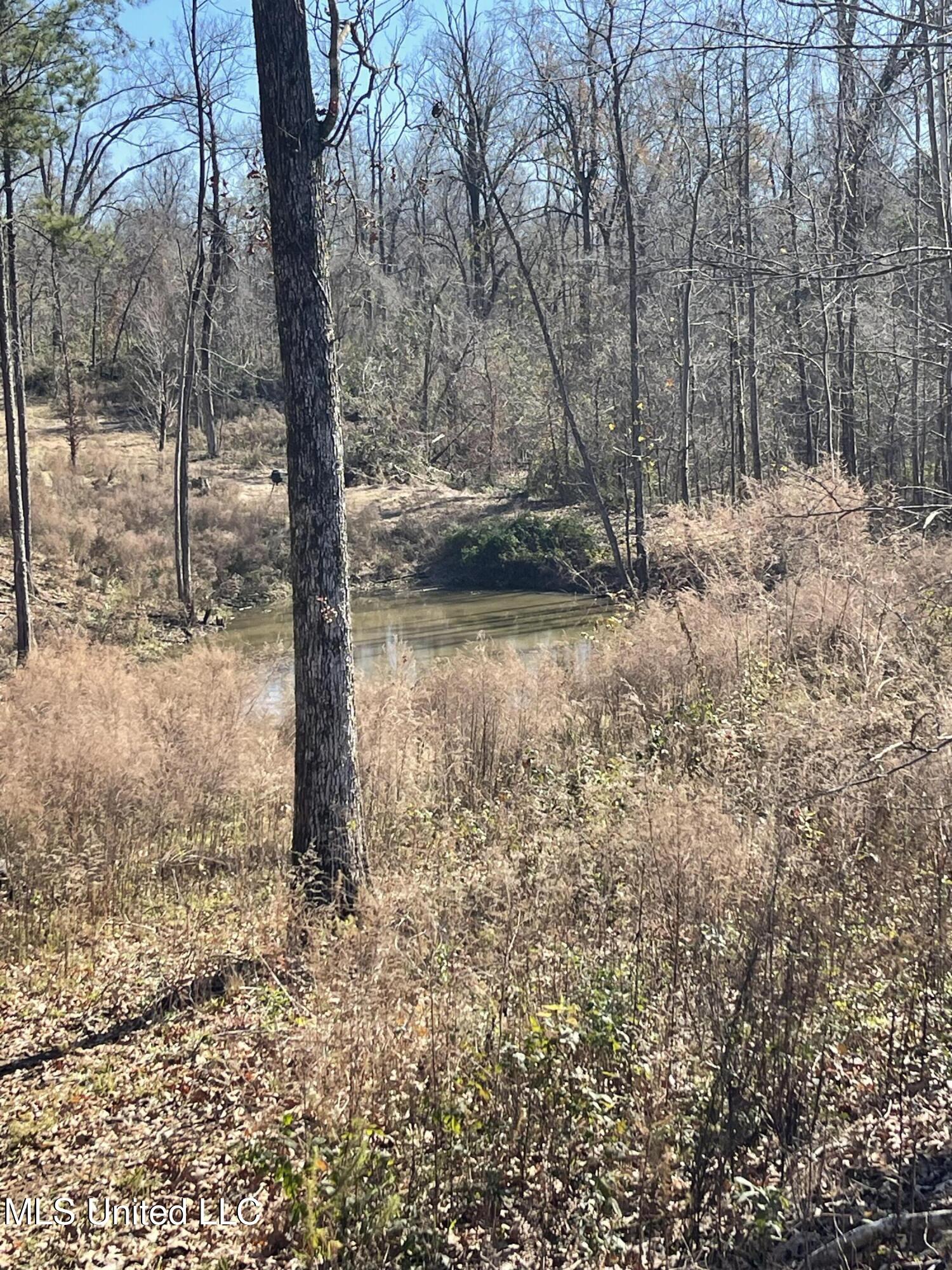 137 Robins Lake Road Natchez, MS 39120 - Photo 10 of 35 IMG_6828