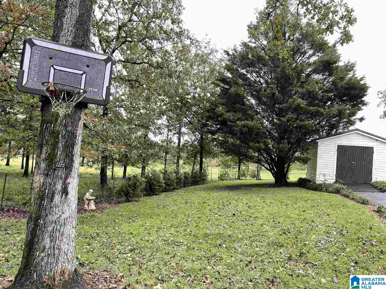 2588 Kirkseys Bend Ohatchee, AL 36271 - Photo 29 of 32