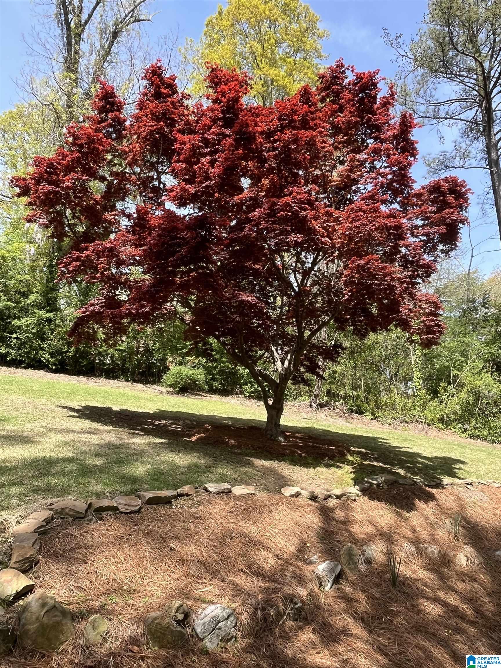 3757 Rockhill Road Birmingham, AL 35223 - Photo 50 of 50
