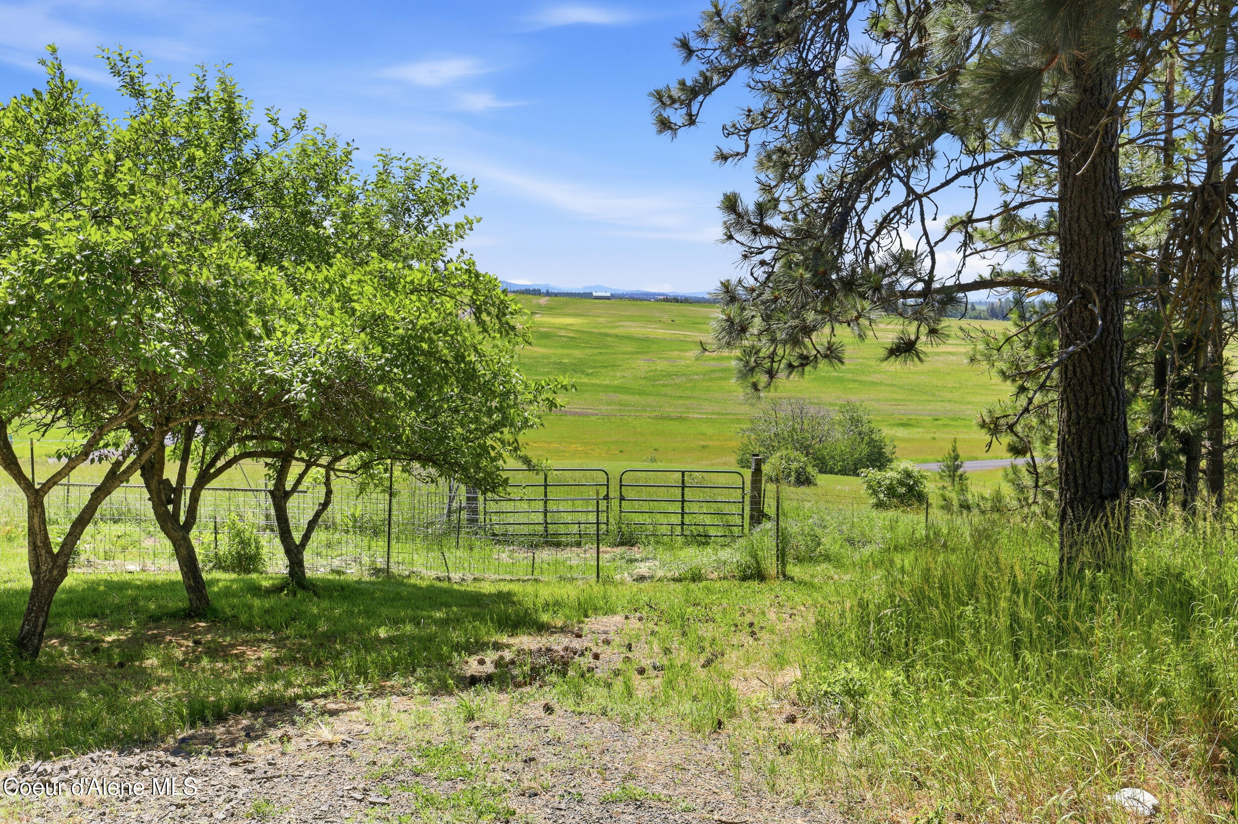 17765 South Rew Road Worley, ID 83876 - Photo 53 of 63 Rew60
