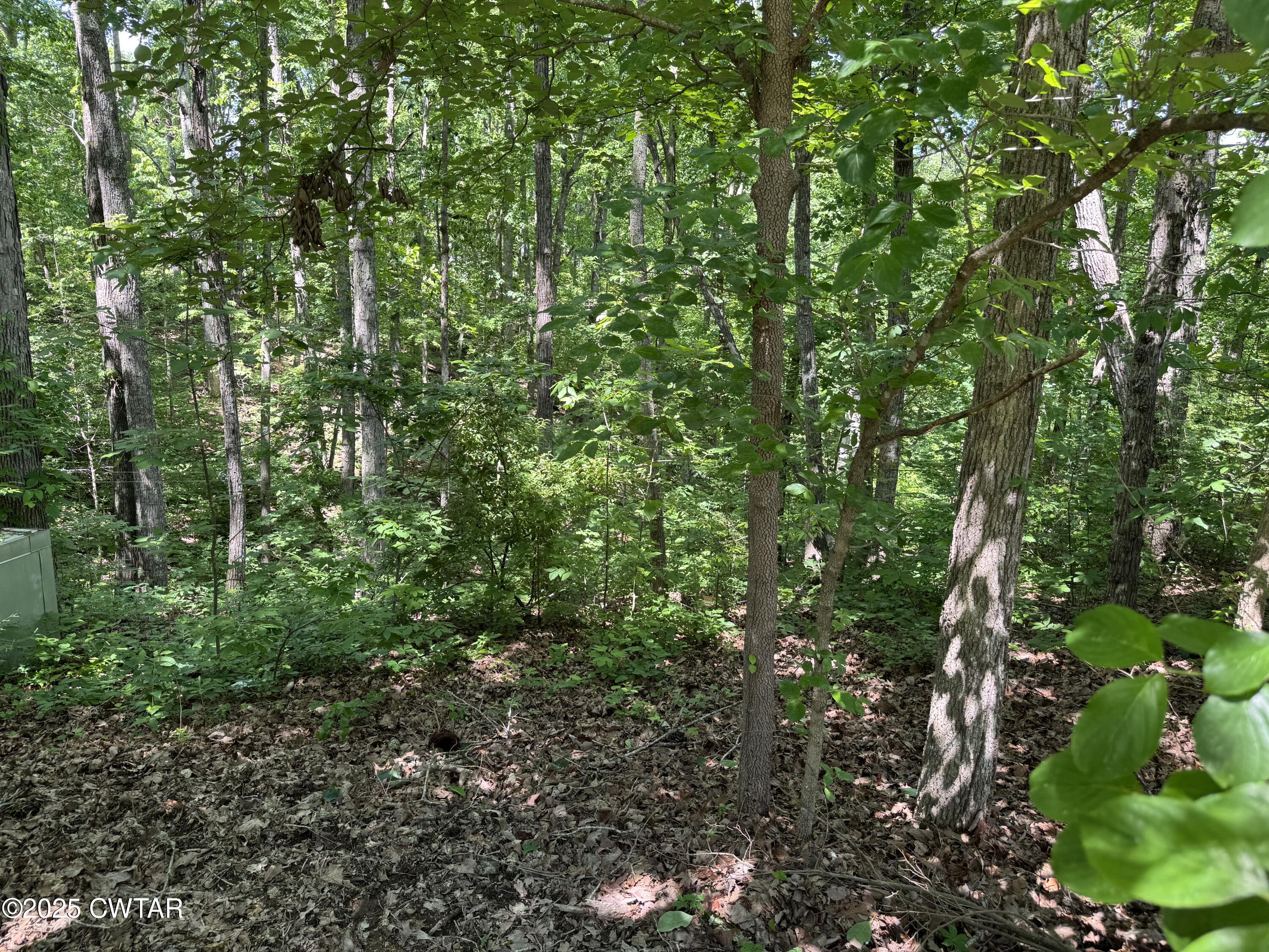 793 Ridgeway Drive Sugar Tree, TN 38380 - Photo 7 of 12 river5