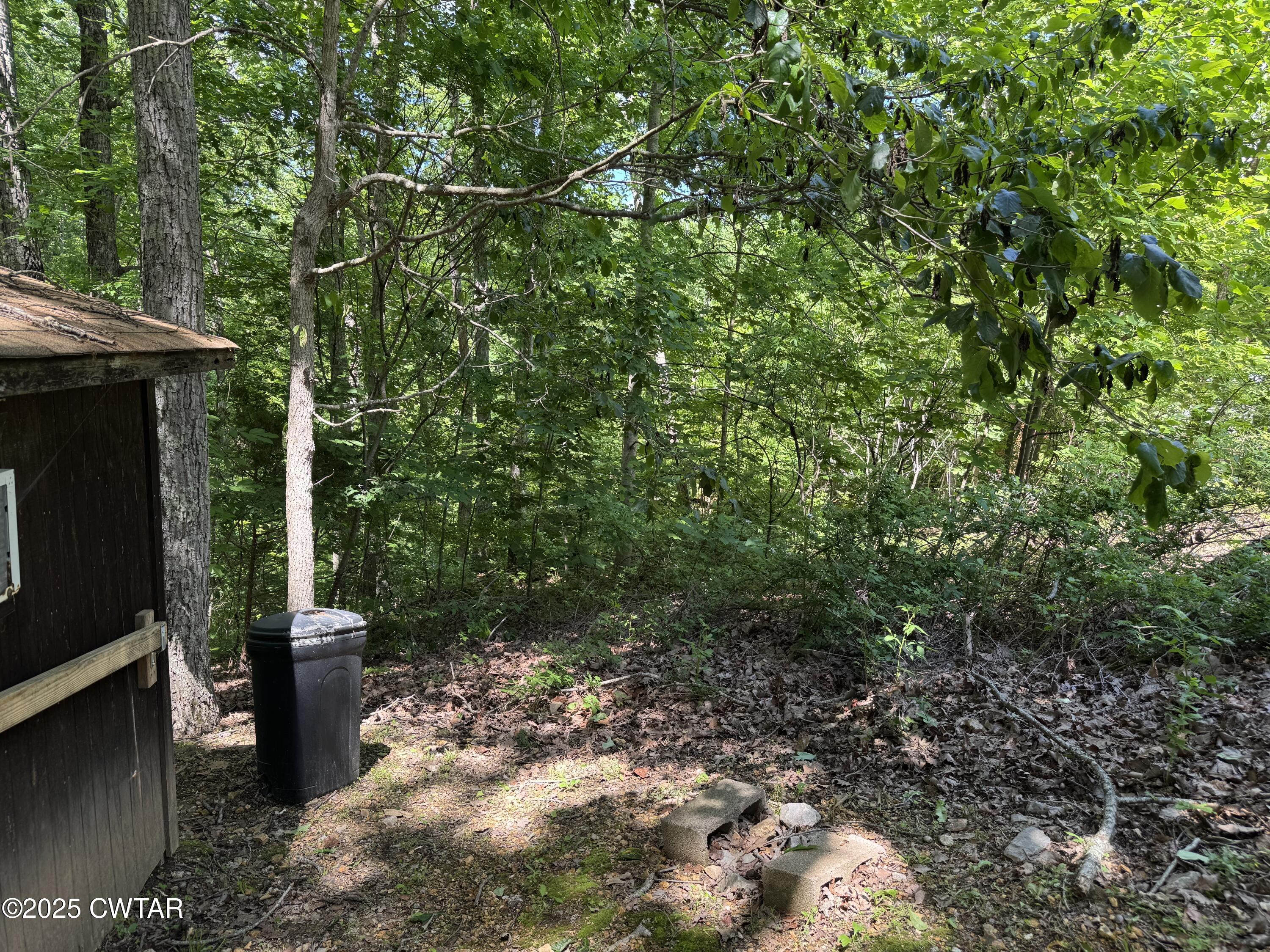 793 Ridgeway Drive Sugar Tree, TN 38380 - Photo 8 of 12 IMG_6914