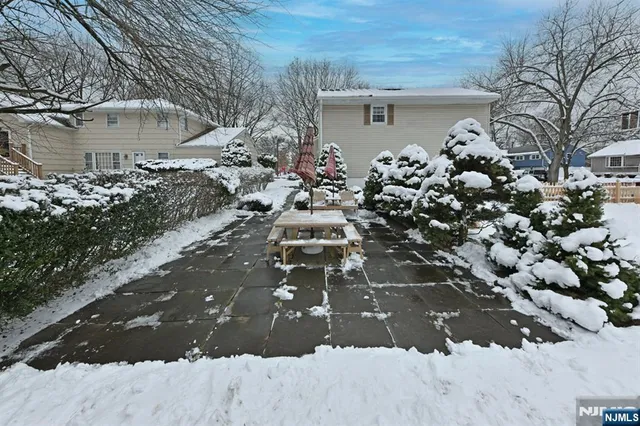 a view of a yard with a tree