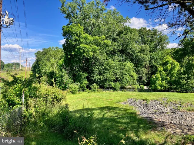 a view of a big yard with plants and large trees
