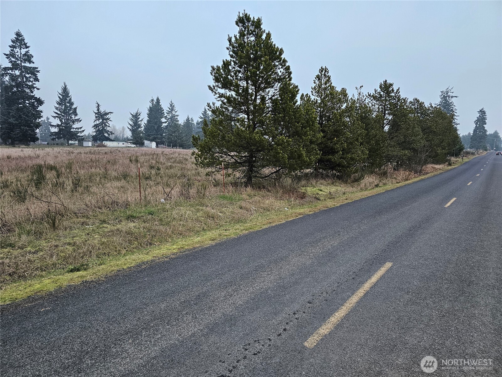18525 Sargent Road Southwest Rochester, WA 98579 - Photo 29 of 37 a view of a dry yard with trees in the background