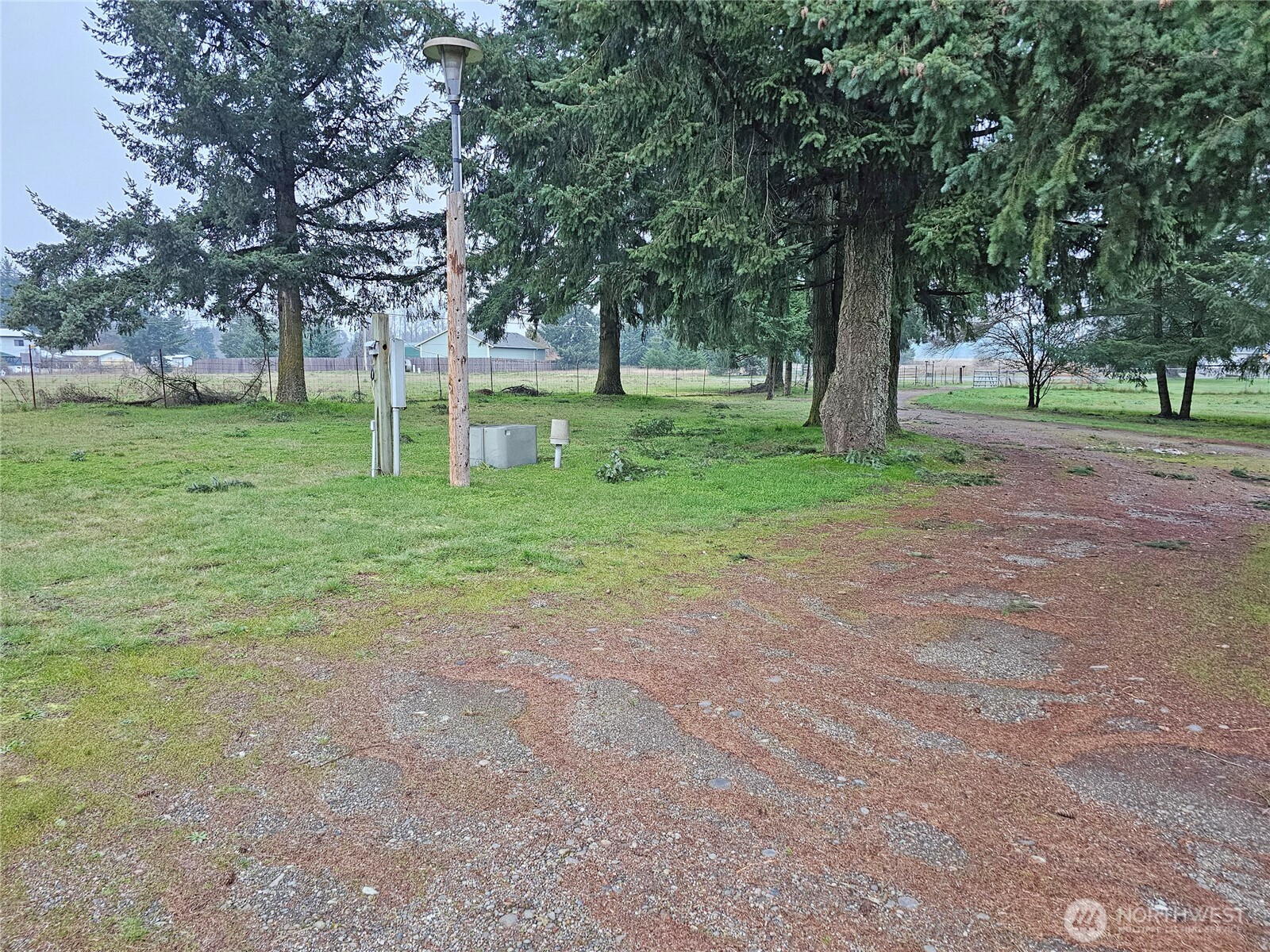 18525 Sargent Road Southwest Rochester, WA 98579 - Photo 35 of 37 a view of a tree in a park