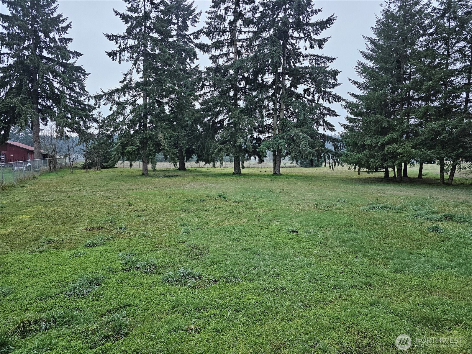 18525 Sargent Road Southwest Rochester, WA 98579 - Photo 37 of 37 a view of a grassy field with trees