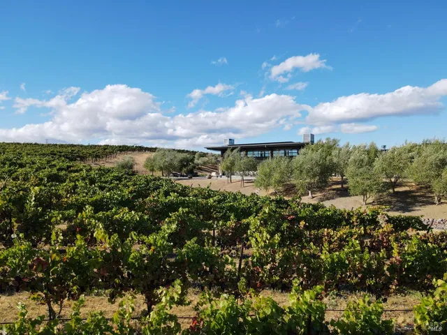 a kitchen with a stove and a sink