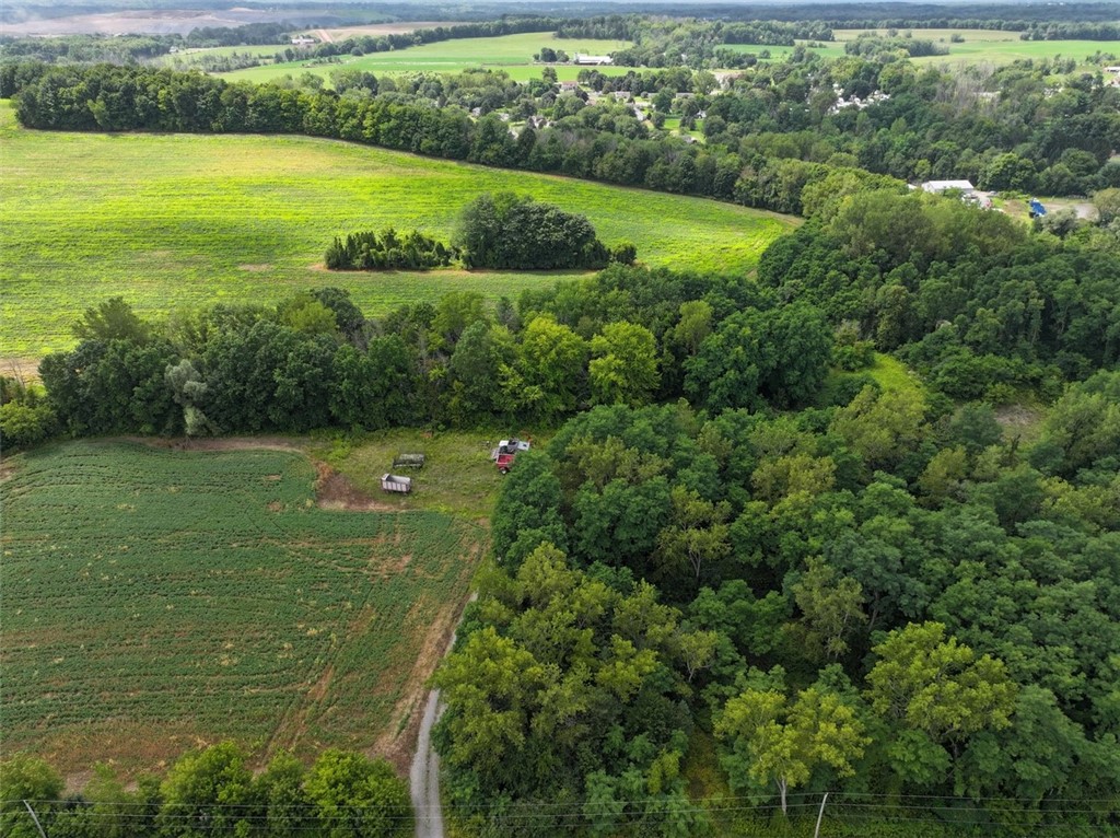 2379 Wilcox Road Macedon, NY 14502 - Photo 1 of 1 Gallery Image 1