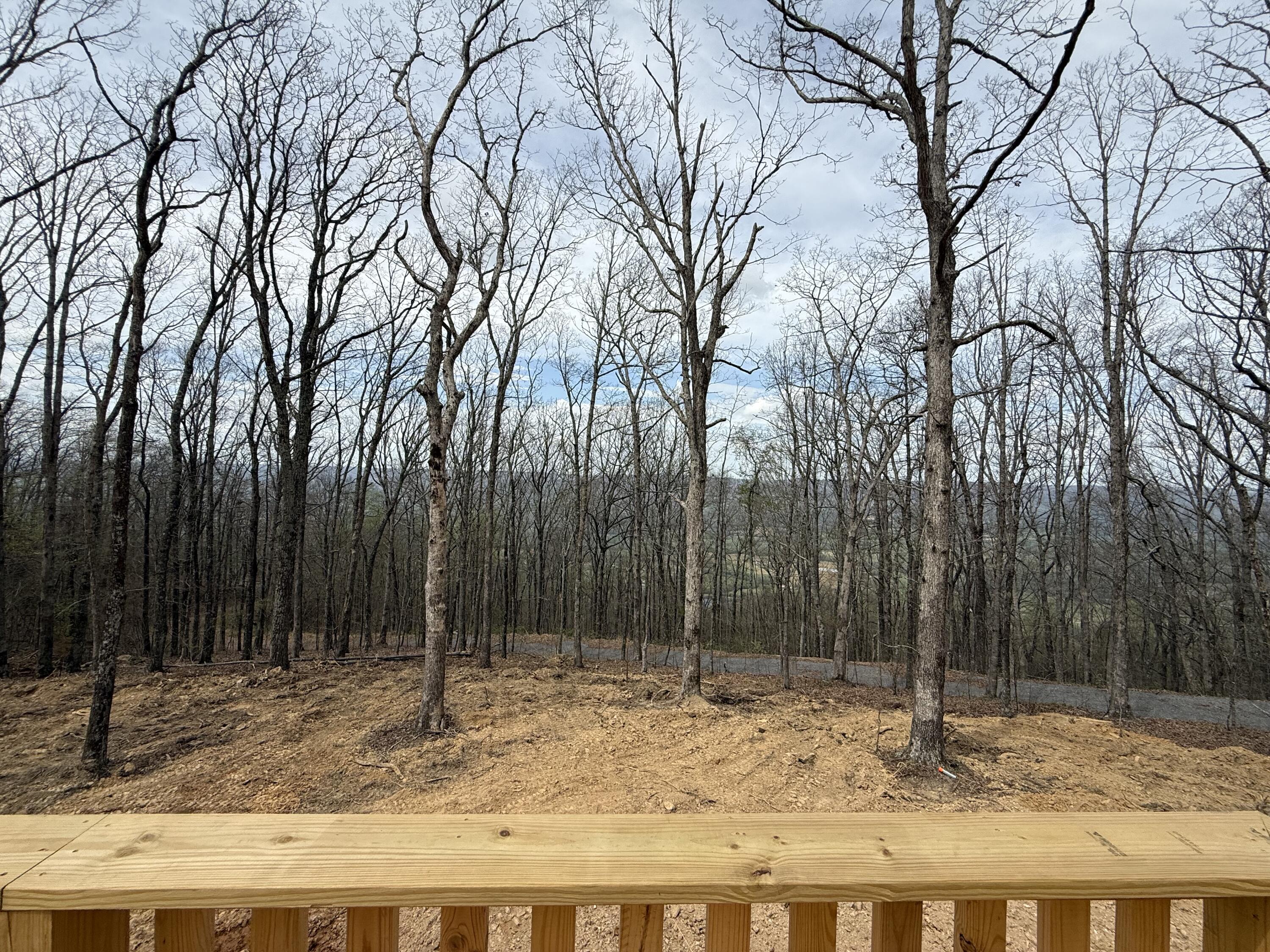 2387 Porch Rock Road Pikeville, TN 37367 - Photo 29 of 30 IMG_9413