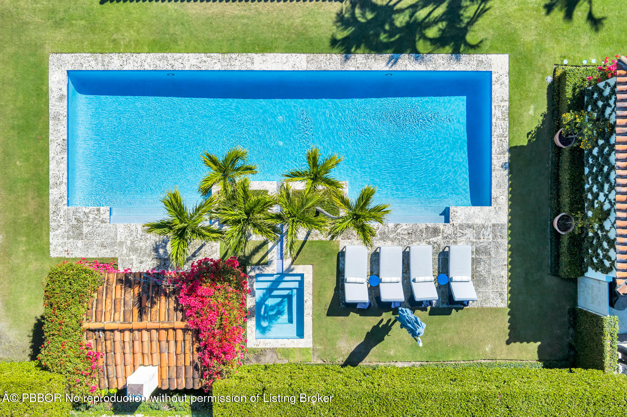 237 El Bravo Way Palm Beach, FL 33480 - Photo 31 of 41 a view of swimming pool with a garden and plants