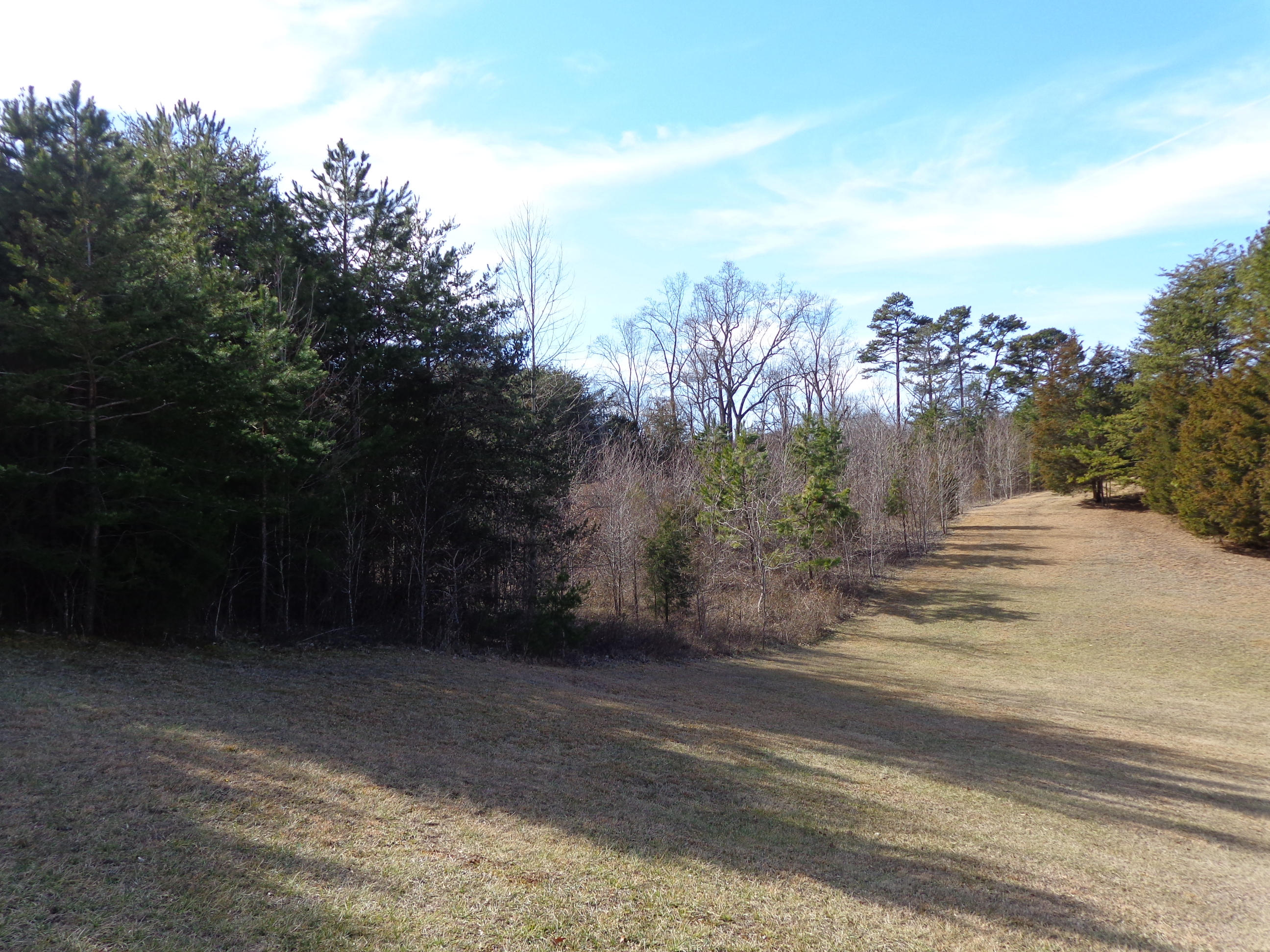 Brookstone Road Parrottsville, TN 37843 - Photo 3 of 3 DSC04010