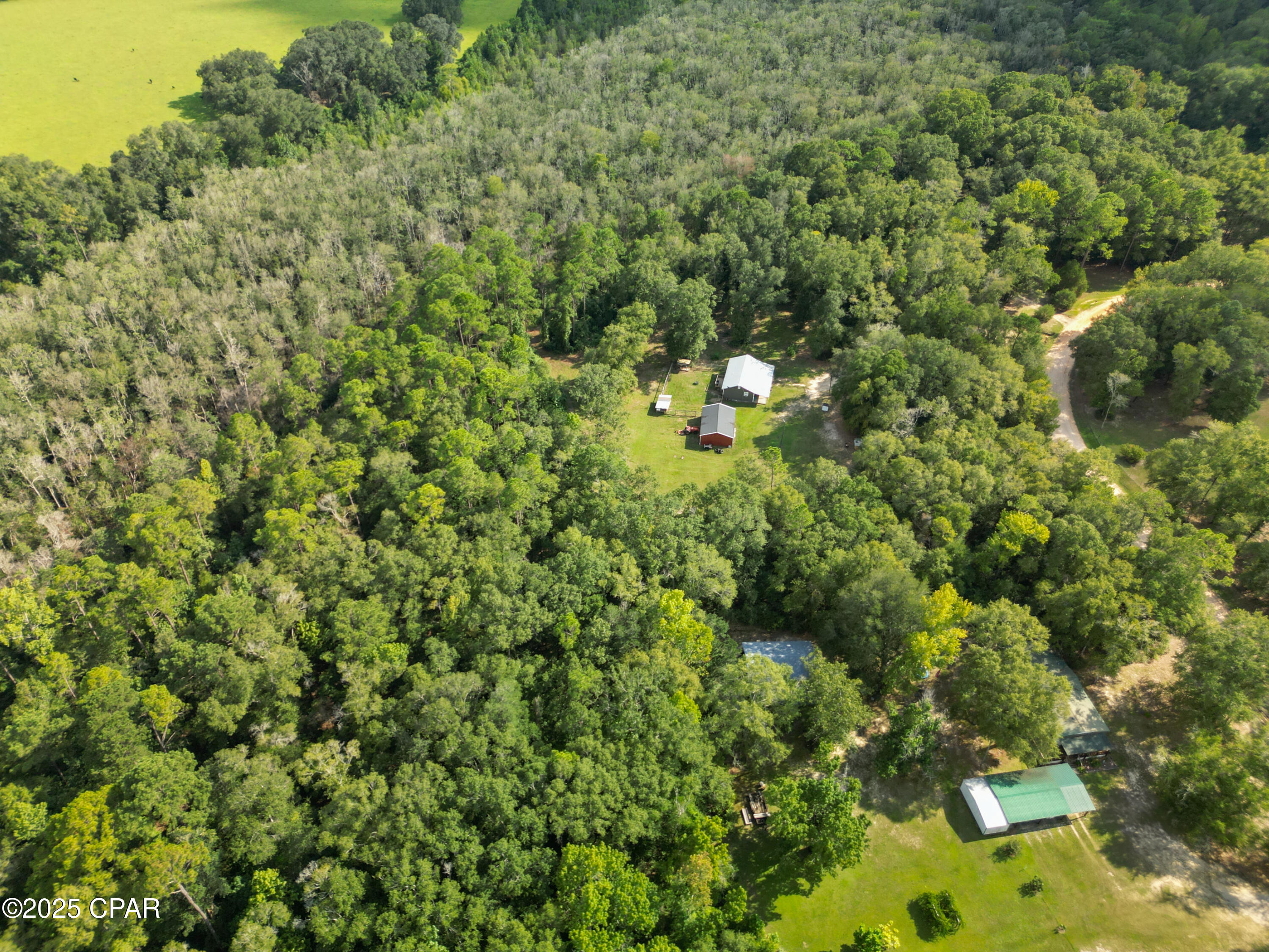 2625 Springhill Road Bonifay, FL 32425 - Photo 38 of 48