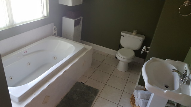 459 Herman Street Crete, IL 60417 - Photo 17 of 20 a bathroom with a toilet and a bathtub