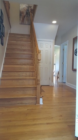 459 Herman Street Crete, IL 60417 - Photo 5 of 20 a view of entryway