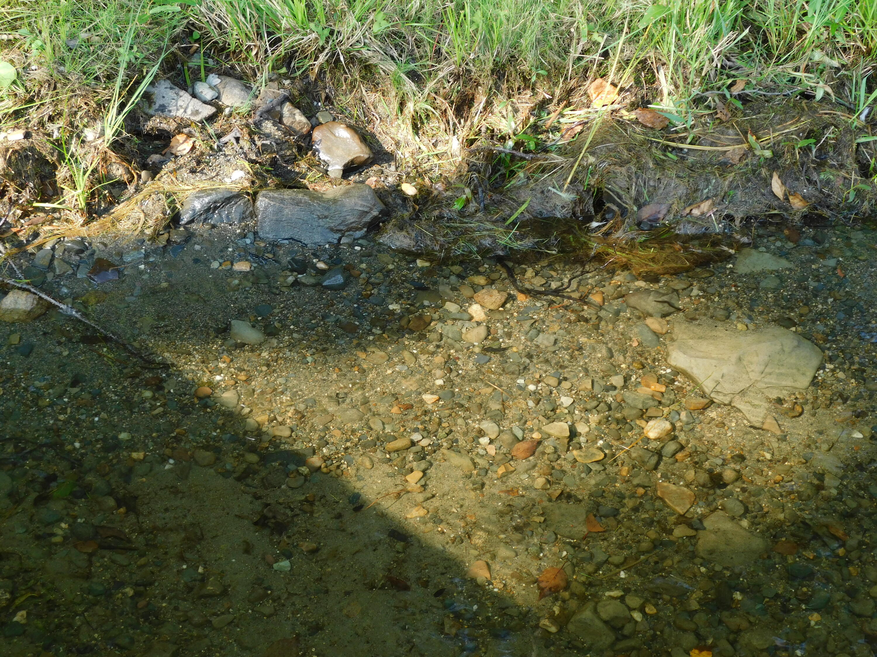 2 Mayberry Drive Sebec, ME 04481 - Photo 49 of 67 DSCN8830