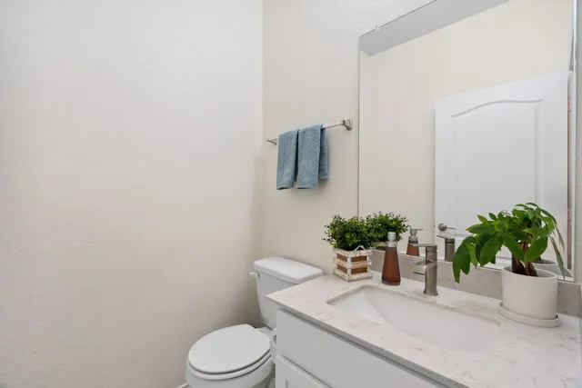 a bathroom with a potted plant on the counter and a sink