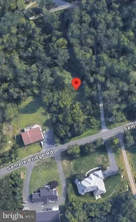 a wooden floor with some trees in the background