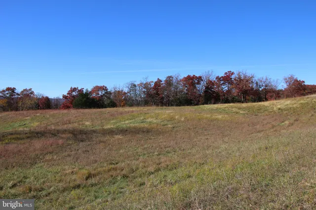 a view of a field with an ocean view