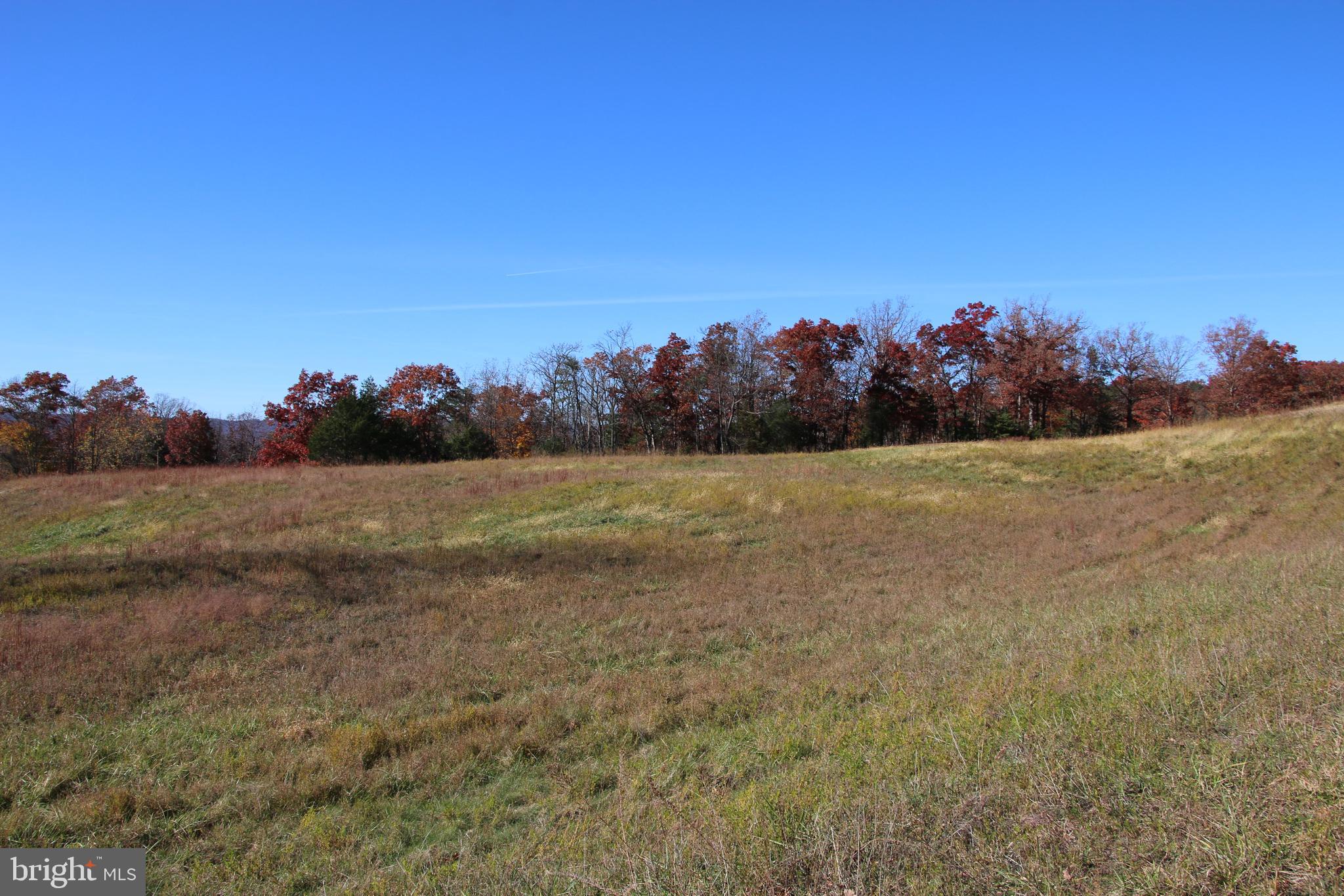 Front Royal Road Strasburg, VA 22657 - Photo 13 of 17 a view of a field with an ocean view