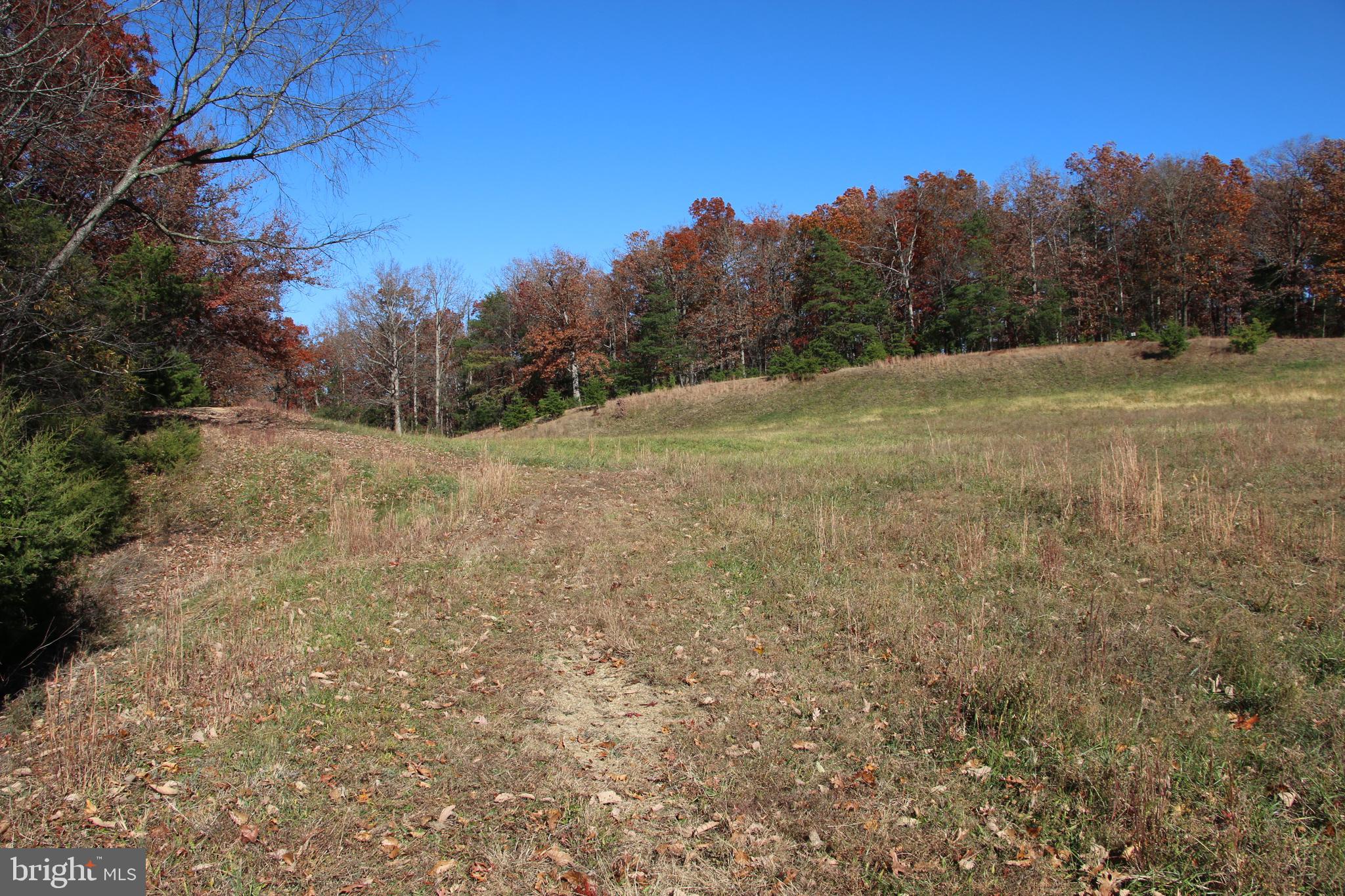 Front Royal Road Strasburg, VA 22657 - Photo 13 of 17 a view of outdoor space with trees all around