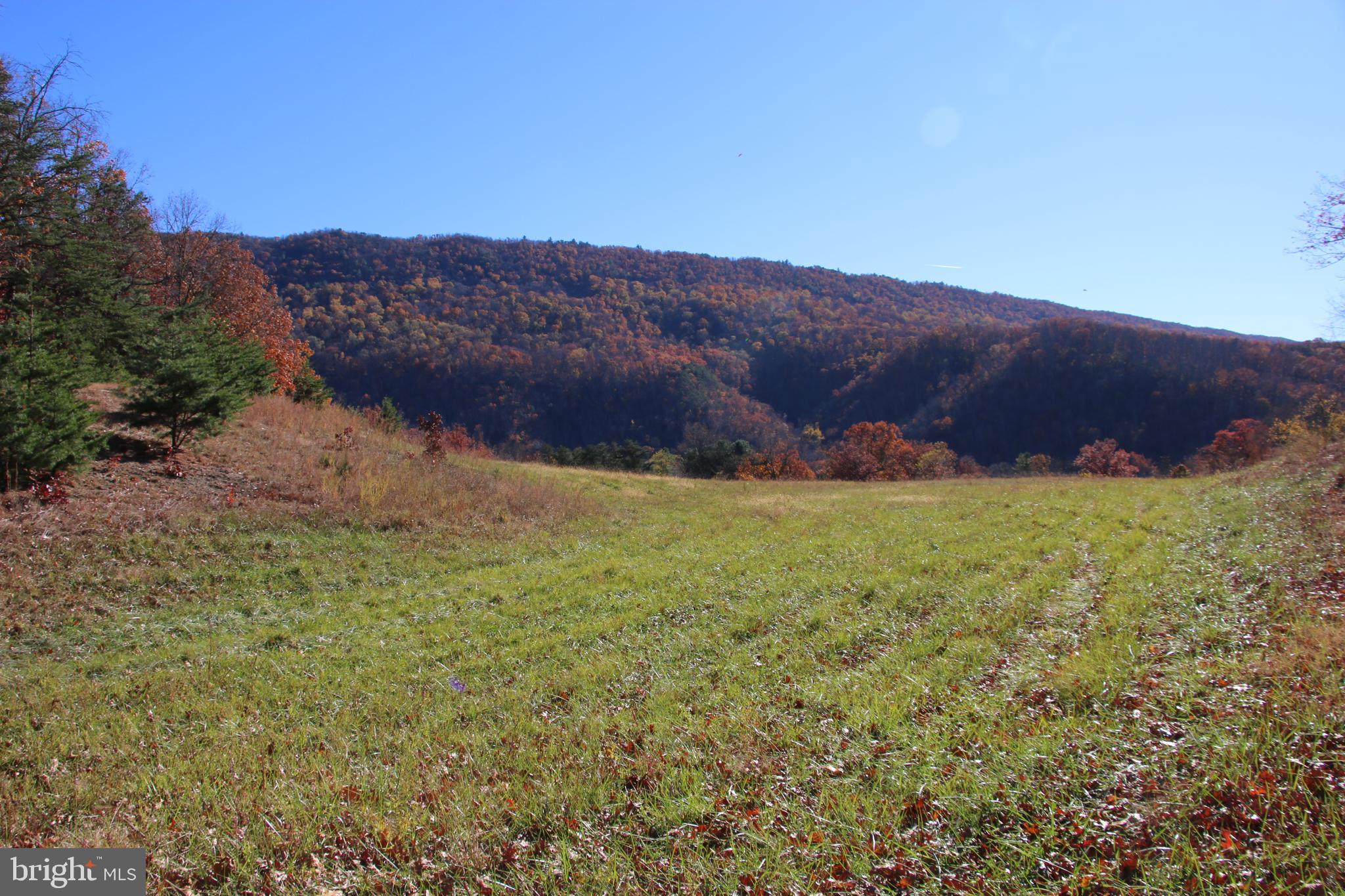 Front Royal Road Strasburg, VA 22657 - Photo 2 of 17 a view of an outdoor space
