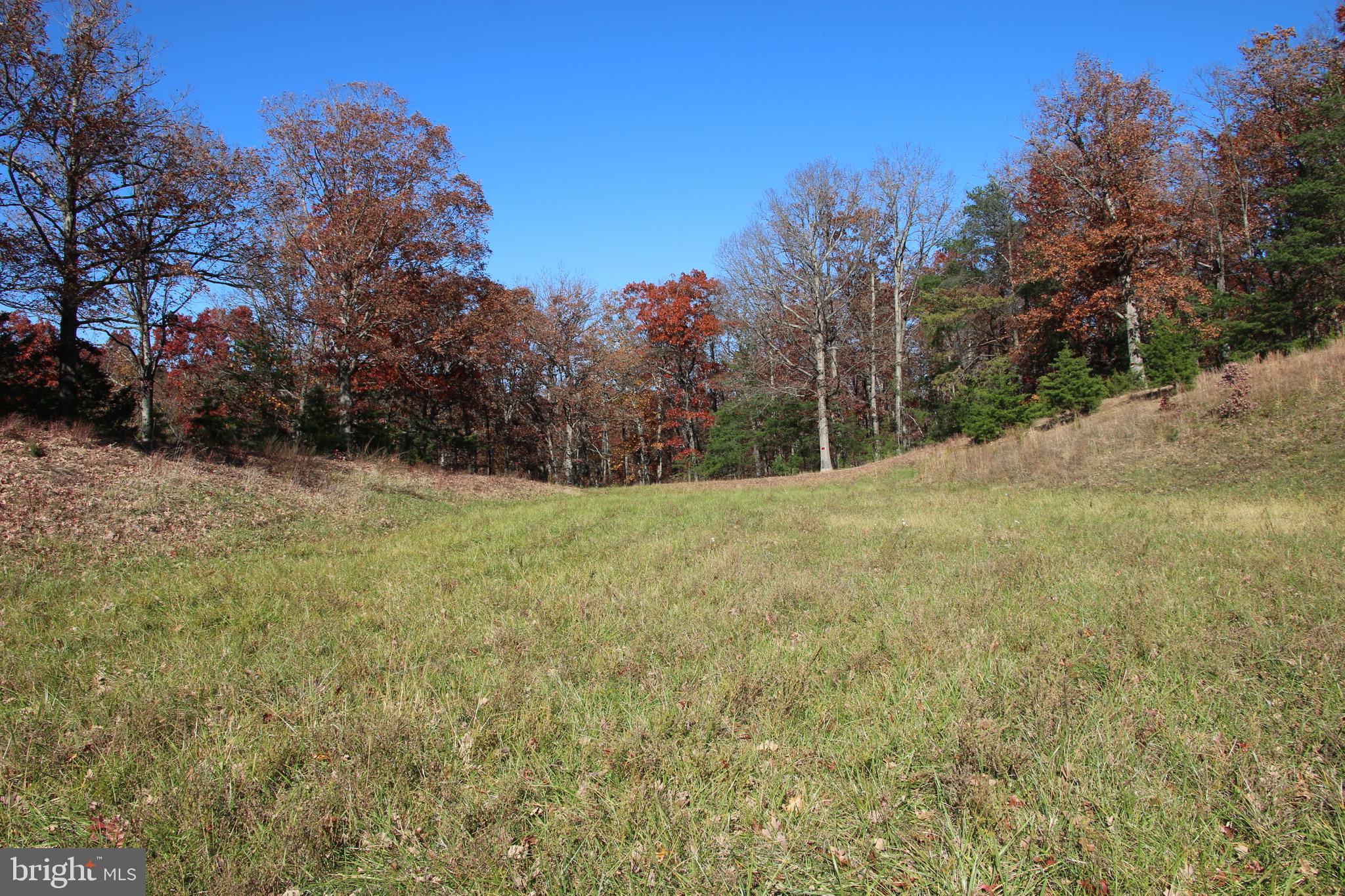 Front Royal Road Strasburg, VA 22657 - Photo 3 of 17 a backyard of a house with large trees