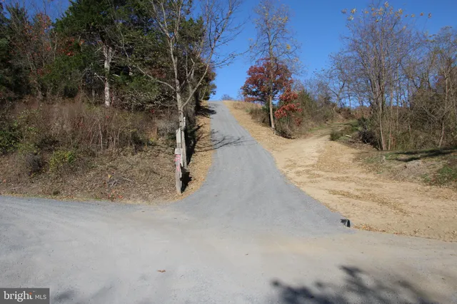 a view of road and trees