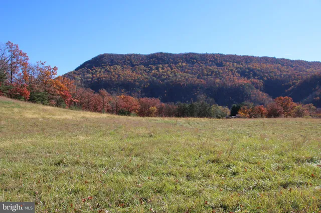 a view of an outdoor space