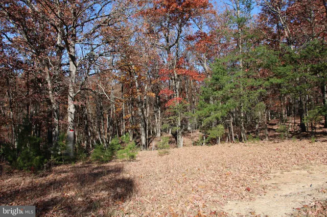 a view of snow on a road