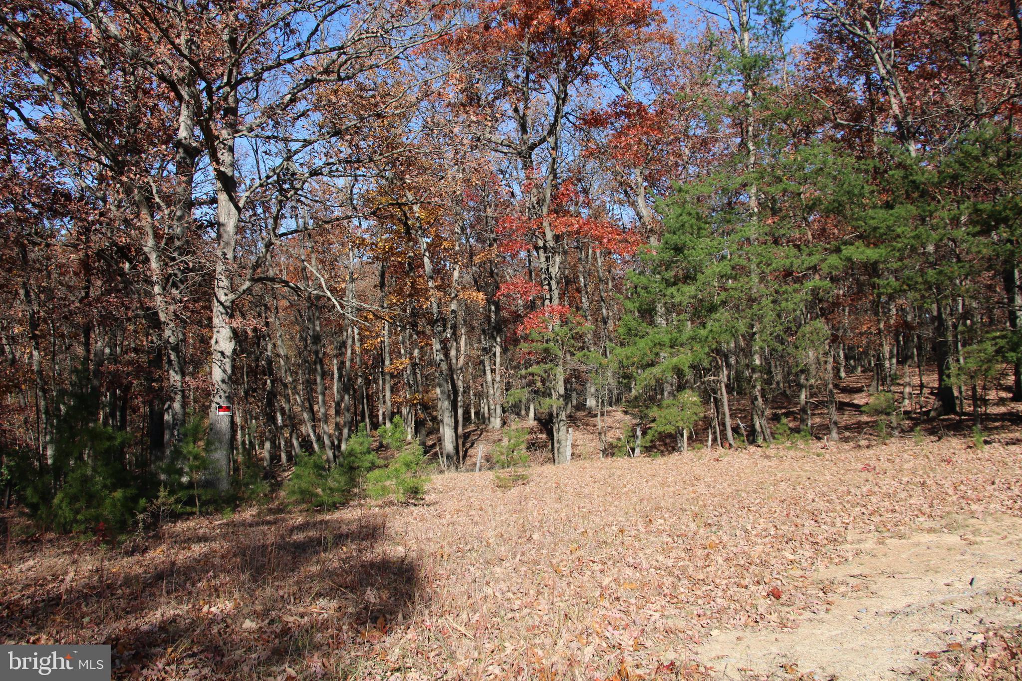 Front Royal Road Strasburg, VA 22657 - Photo 6 of 17 a view of snow on a road