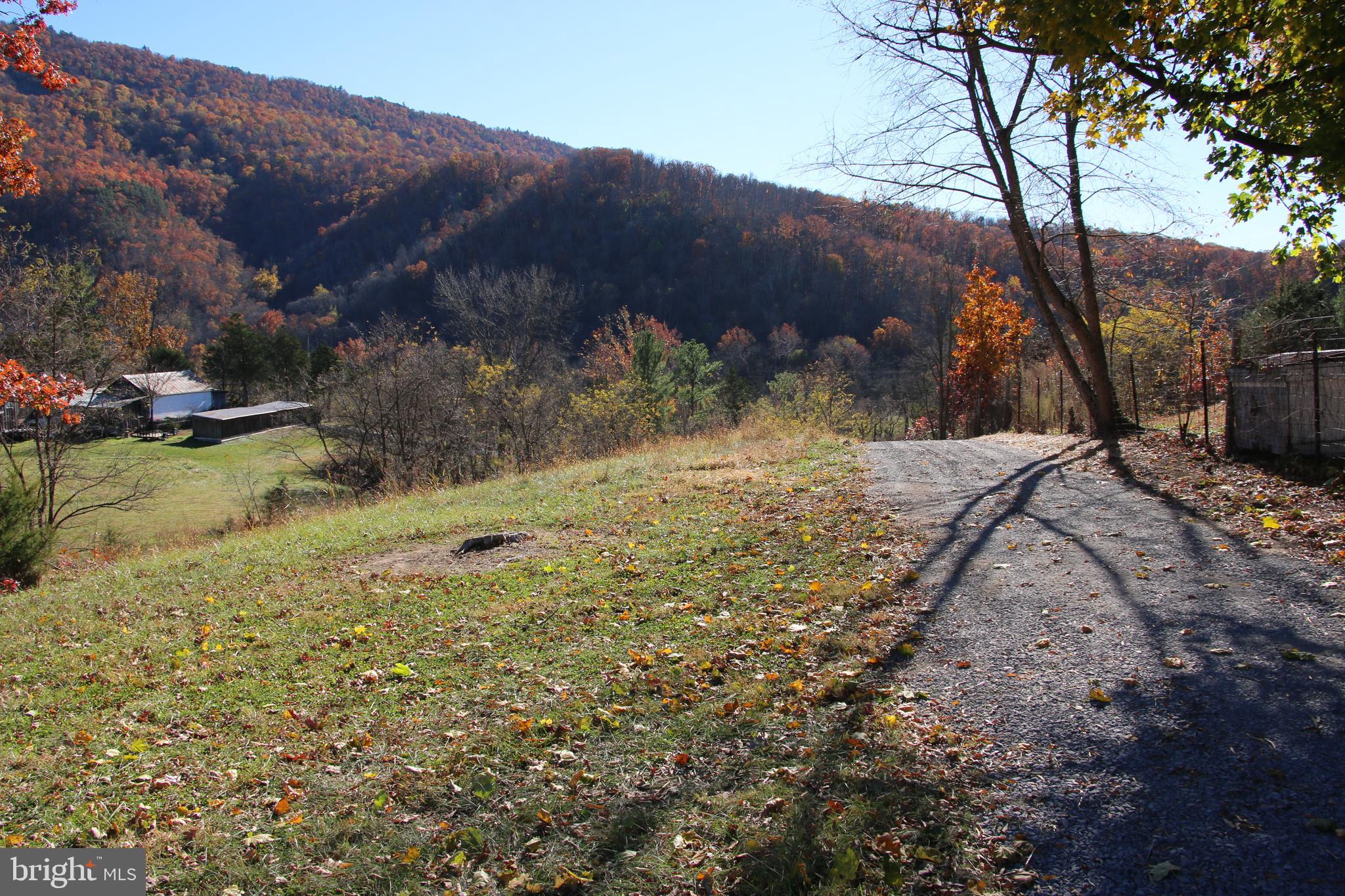 Front Royal Road Strasburg, VA 22657 - Photo 9 of 17 a view of a yard with mountain view