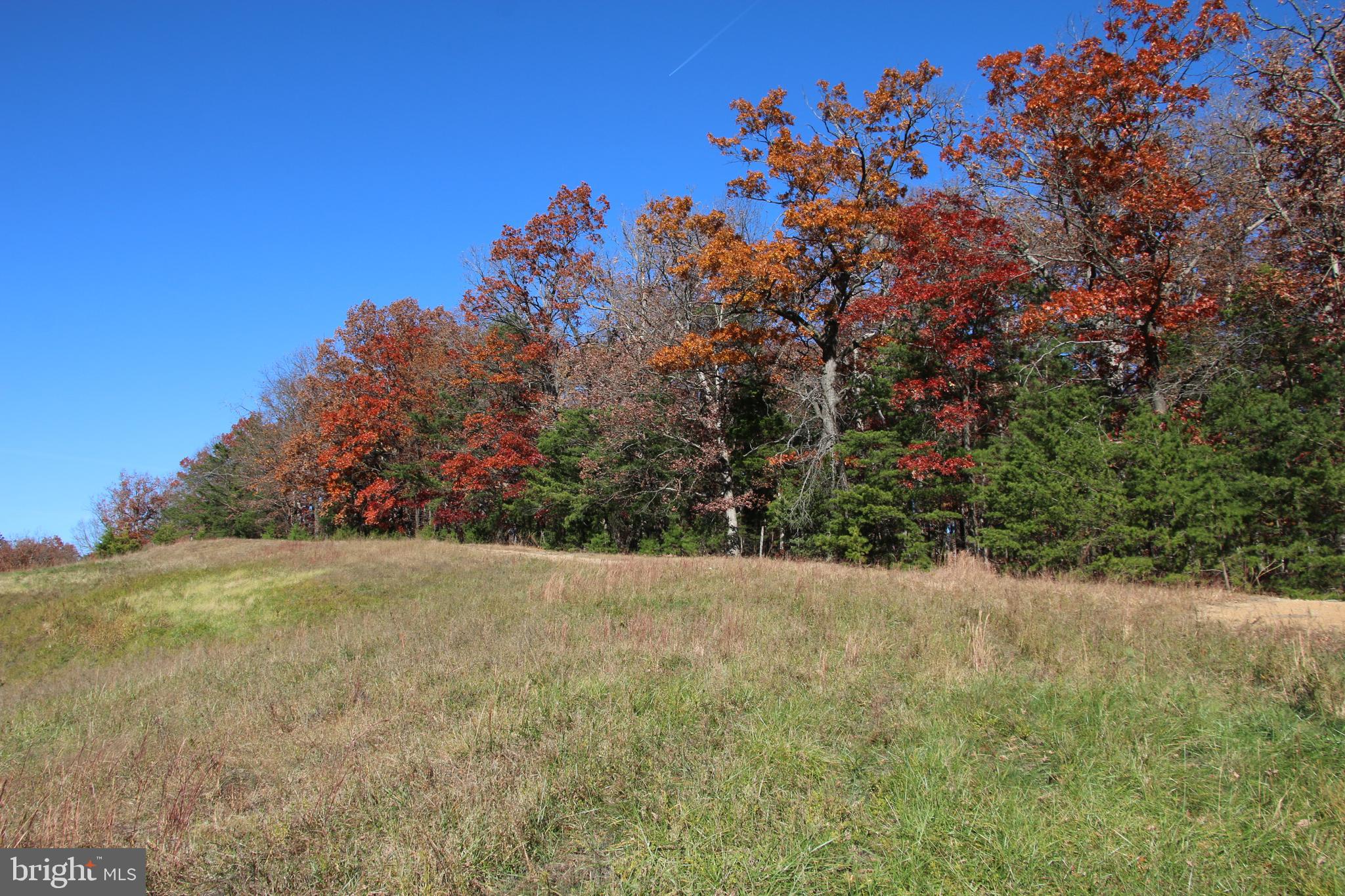 Front Royal Road Strasburg, VA 22657 - Photo 10 of 17 a view of a field with a tree in the background