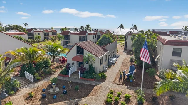 a picture of a palm tree