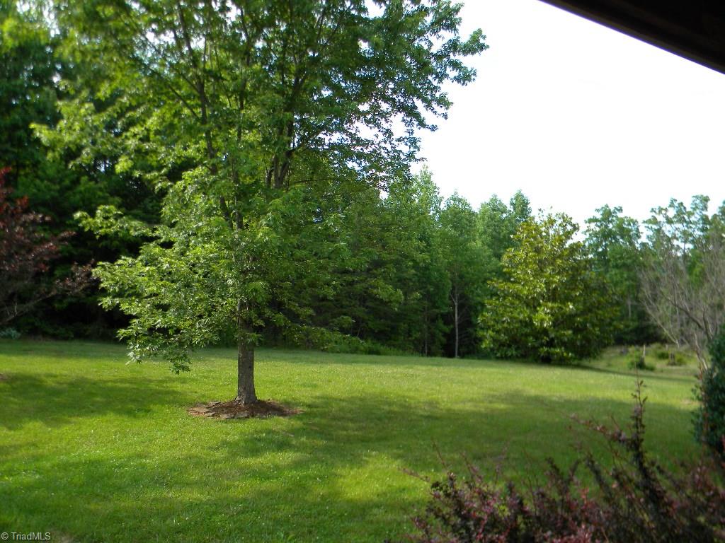 1568 Bryant Road Mount Airy, NC 27030 - Photo 8 of 29 Gallery Image 8