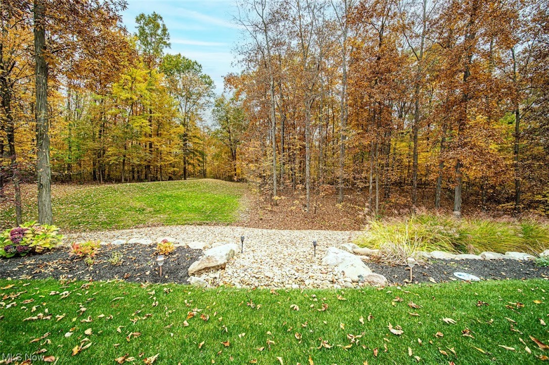 12151 Girdled Road Painesville, OH 44077 - Photo 3 of 35 View of yard
