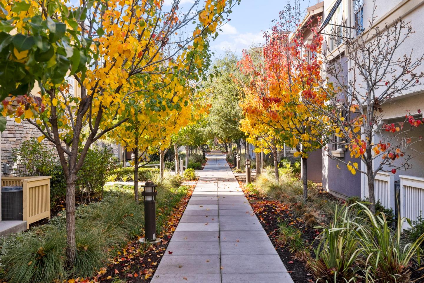 123 Lemmon Terrace Sunnyvale, CA 94086 - Photo 33 of 42 a view of a pathway with a wrought fence