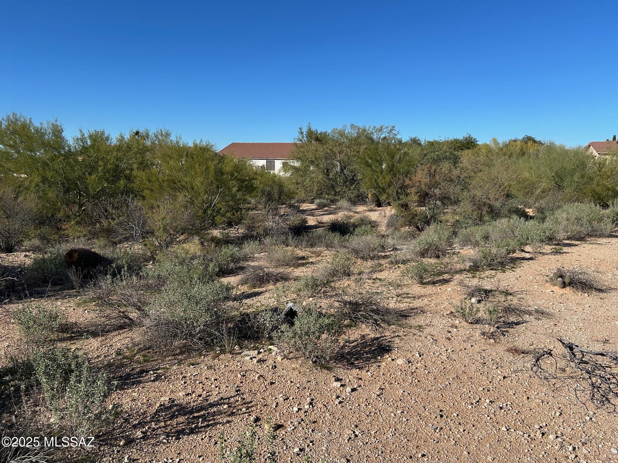 North Oracle Road, Unit 22516 Tucson, AZ 85704 - Photo 7 of 10 a view of a dry yard with trees in the background
