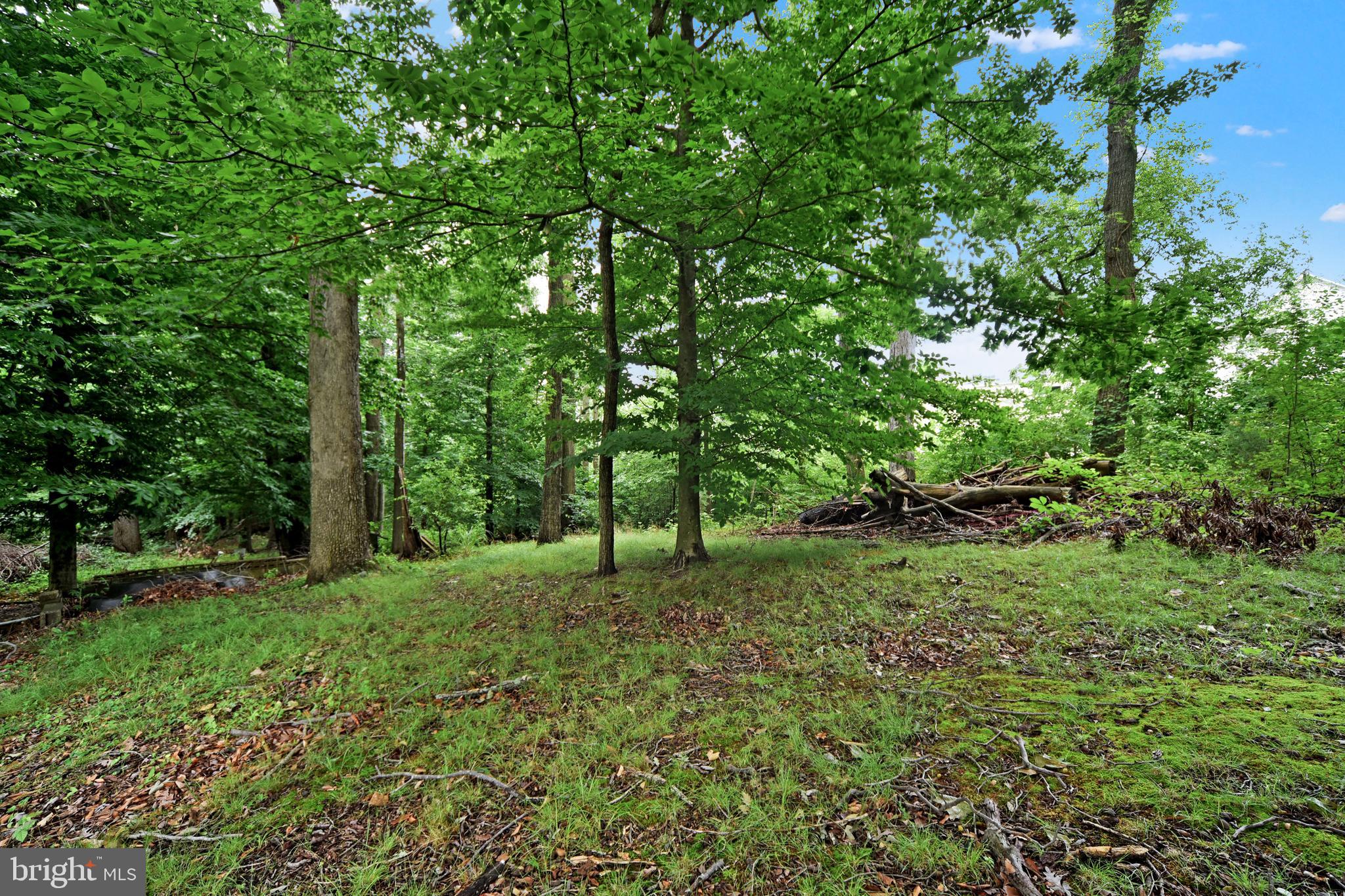 4617 Ridge Road Nottingham, MD 21236 - Photo 27 of 28 Gallery Image 27