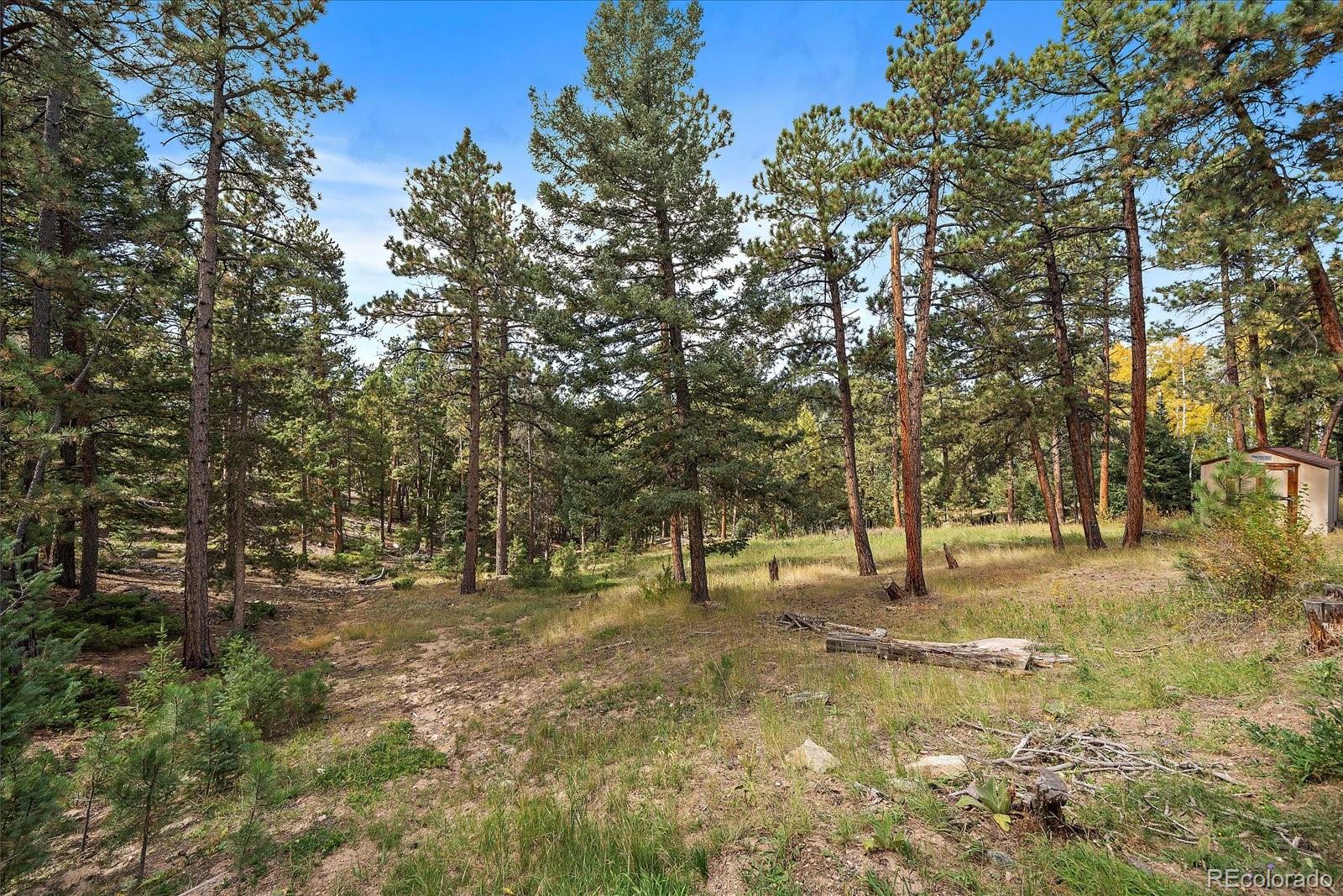 25100 Pleasant Park Road Conifer, CO 80433 - Photo 33 of 50 Gallery Image 33