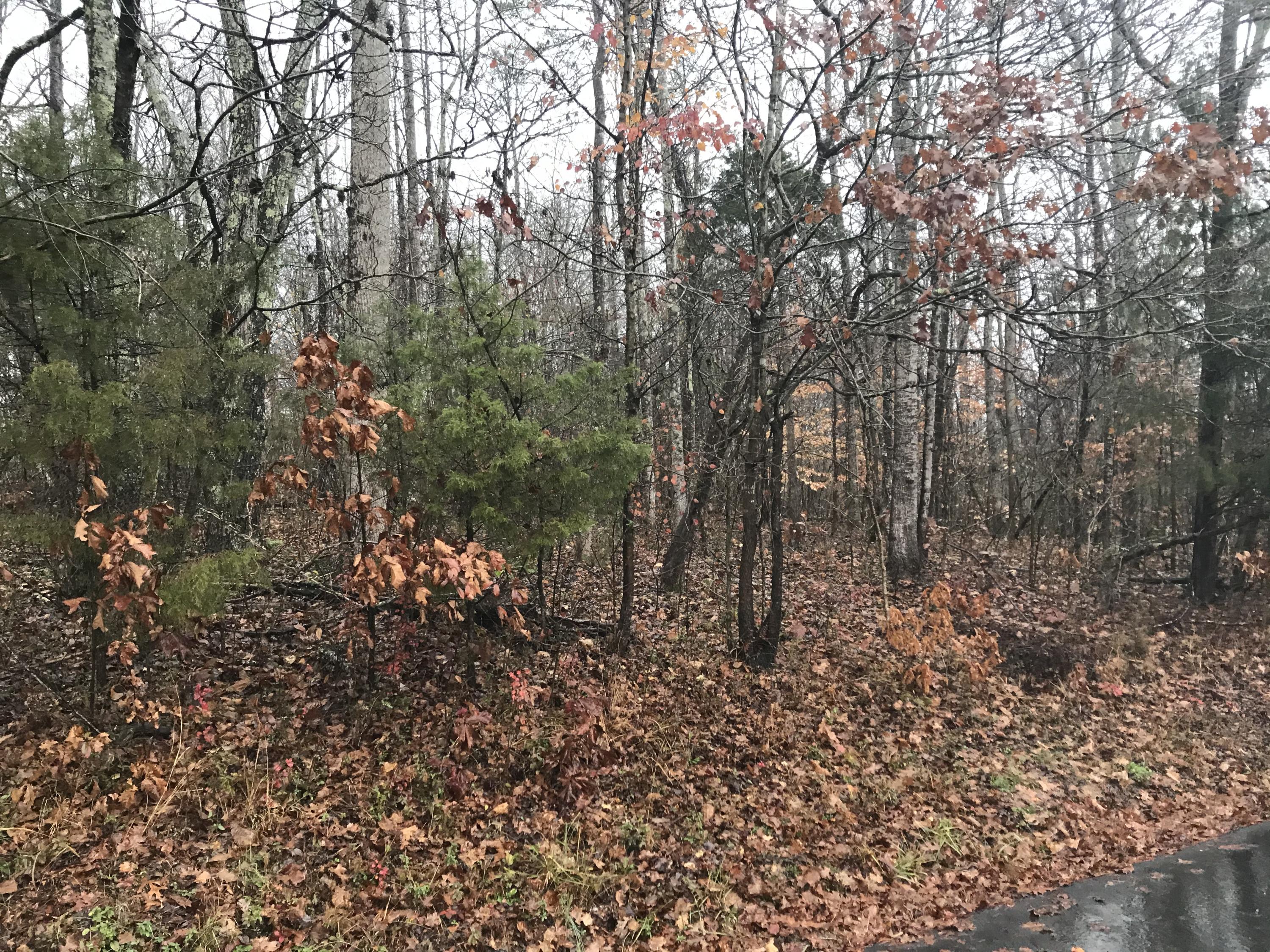 Buck Creek Road Kingston, TN 37763 - Photo 2 of 7 AFBA9E21-AE60-4927-B0F6-8D532667591A